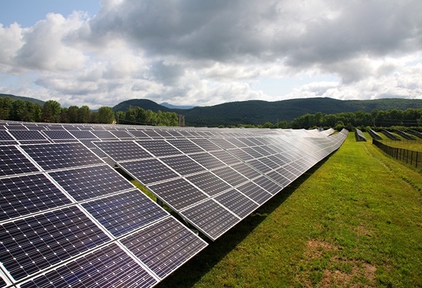 clarendon-solar-farm-1.jpg