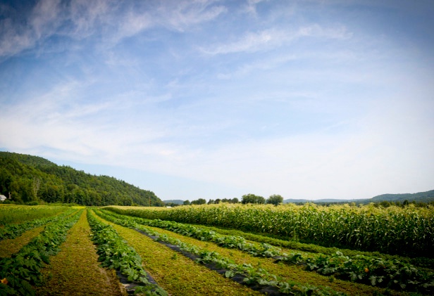 farm-loans-david-blais-3.jpg