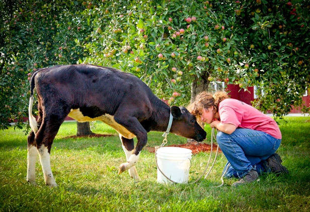 farm-loans-dream-on-farm-4.jpg