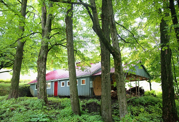 graham-farms-1.jpg