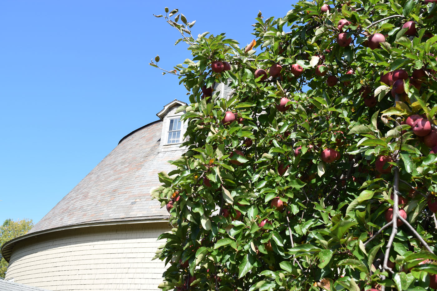 Round Barn Solar