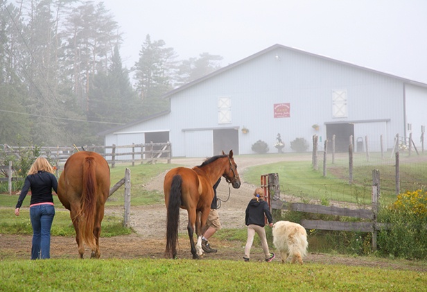 Higher_Ground_Boarding_Stables_LLC