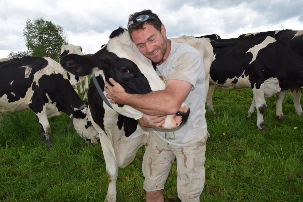 silloway-farms-owner-and-cow