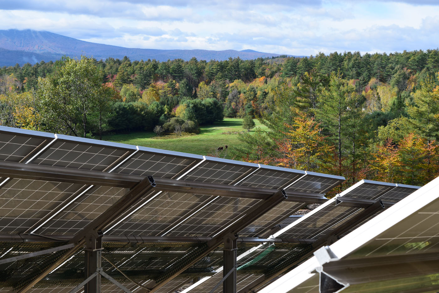 Londonderry Community Solar